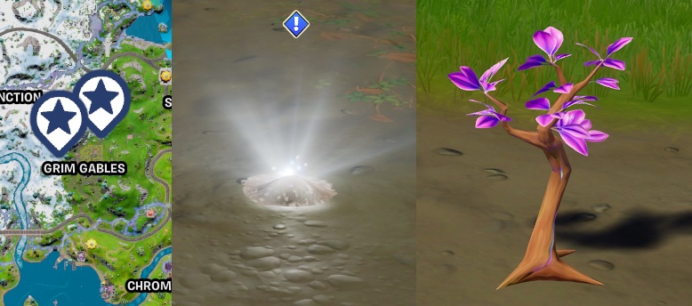 Locations: Plant the second tree seed near Grim Gables
